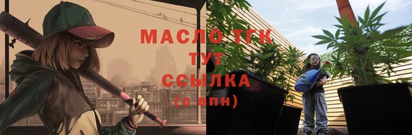 мет Алексин