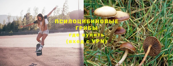 дживик Алзамай