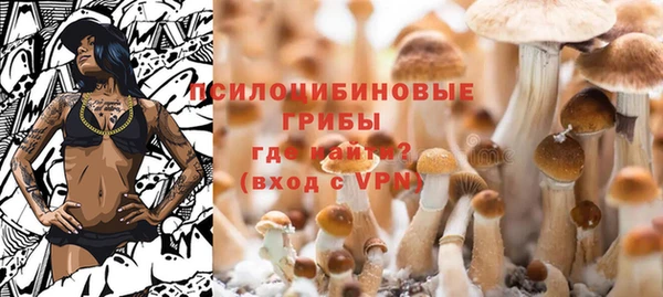 мет Алексин