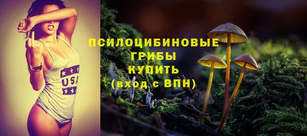 дживик Алзамай