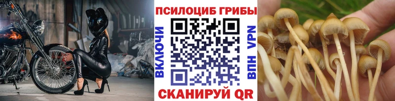 Псилоцибиновые грибы MAGIC MUSHROOMS  Лобня 